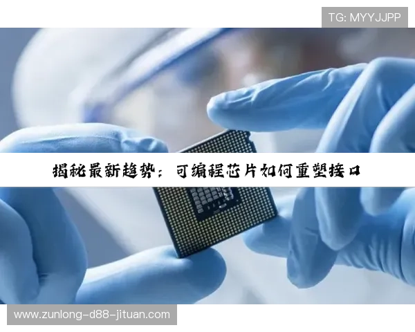 尊龙注册网站推荐：新手玩家必看的注册流程与安全保障措施